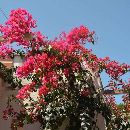 Villa Teti - Sicilia Campofelice di Roccella Kültér fotó