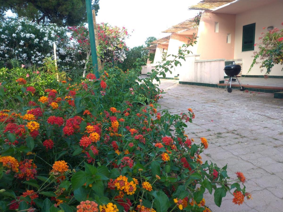 Villa Teti - Sicilia Campofelice di Roccella Kültér fotó