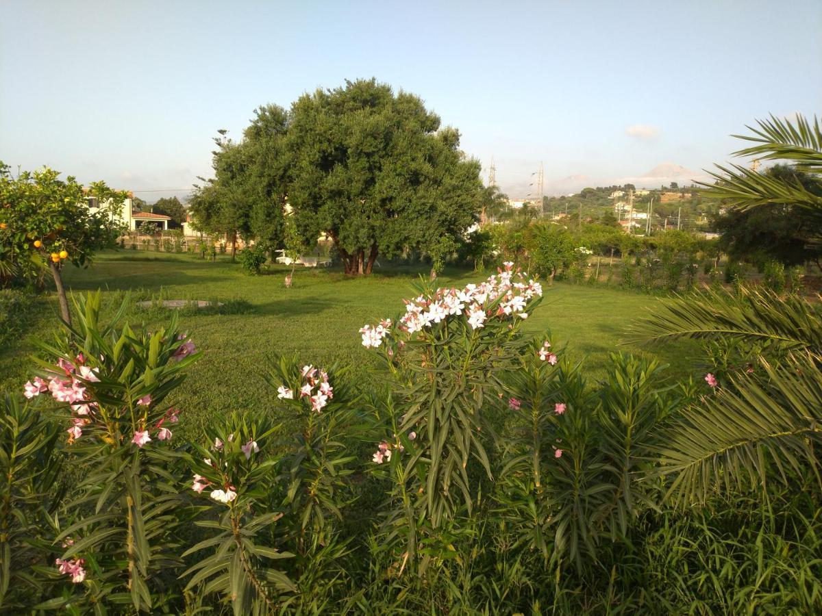 Villa Teti - Sicilia Campofelice di Roccella Kültér fotó