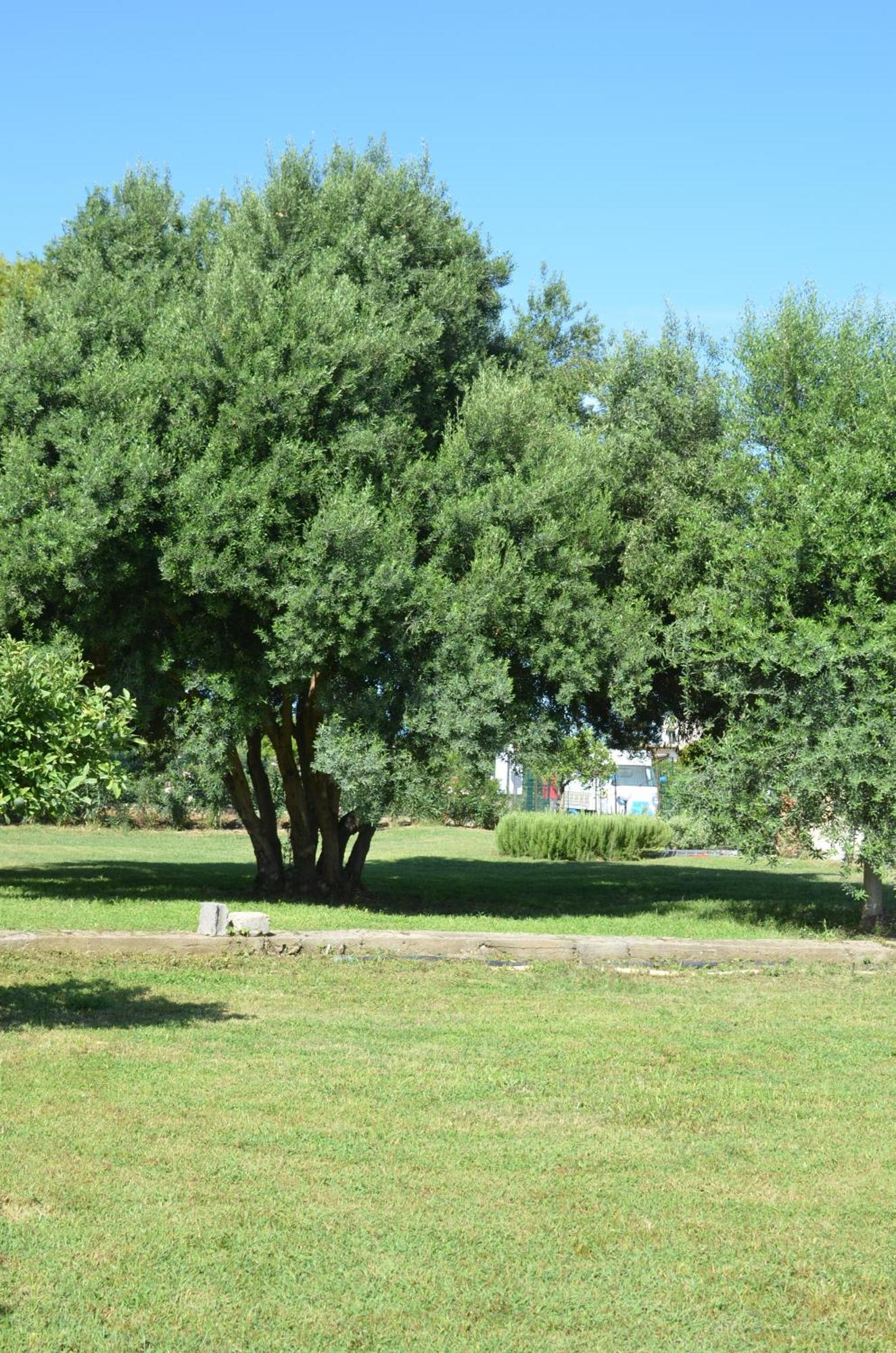Villa Teti - Sicilia Campofelice di Roccella Kültér fotó